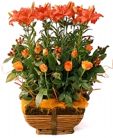 A striking bouquet of flowers